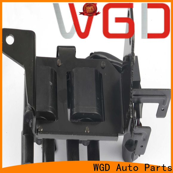 WGD Auto Parts Quality vehicle ignition parts manufacturers for vehicle
