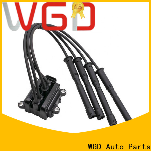 WGD Auto Parts Bulk car engine coil price for vehicle
