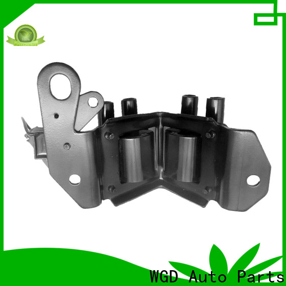 WGD Auto Parts Quality best ignition coil for bmw for sale for vehicle