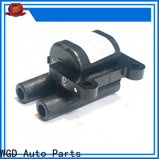 WGD Auto Parts auto ignition coil factory price for vehicle