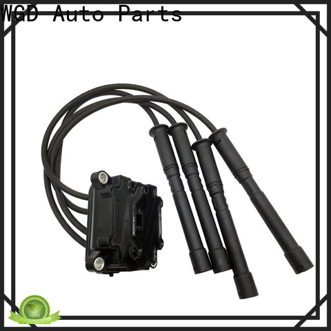 WGD Auto Parts ignition coil supply for auto industry