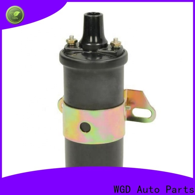 WGD Auto Parts Professional best ignition coil for bmw vendor for automobile