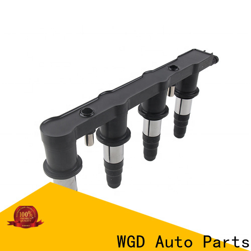 WGD Auto Parts Customized auto ignition system factory for automobile