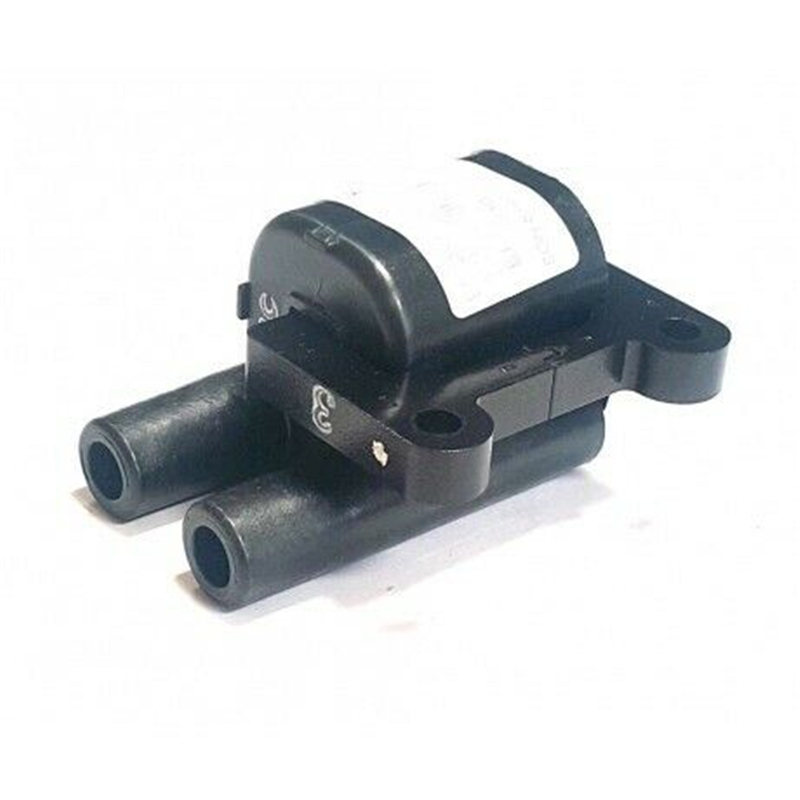 WGD Auto Parts auto ignition coil factory price for vehicle-1