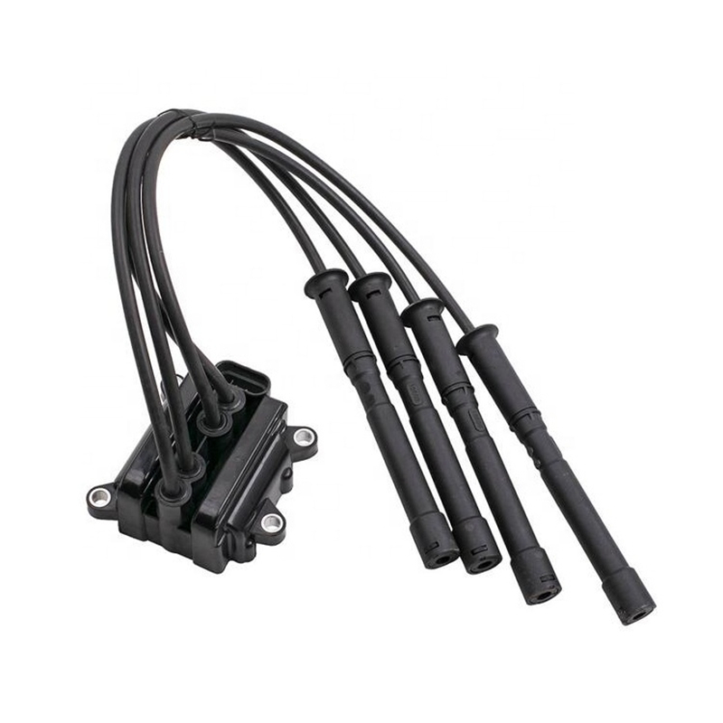 Spare parts Ignition coil 8200025256 for Renault D4F 704 Customized with good price Wholesale-WGD Auto Parts