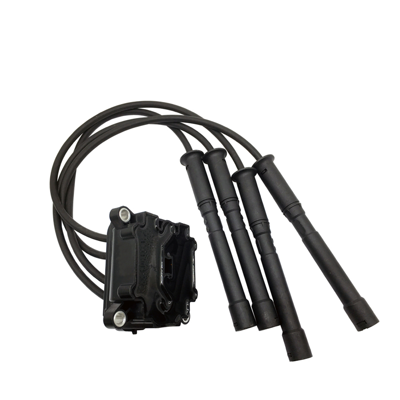 WGD Auto Parts ignition coil supply for auto industry-2