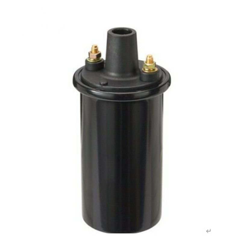 High Quality Auto Part Of IGNITION COIL 0221102004 With Good Price-WGD Auto Parts